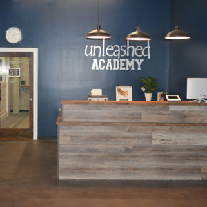 11-unleashed-academy-after